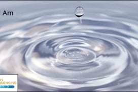Water droplet creating ripple rings in still water