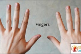 Two hands with spread fingers, palms facing forward