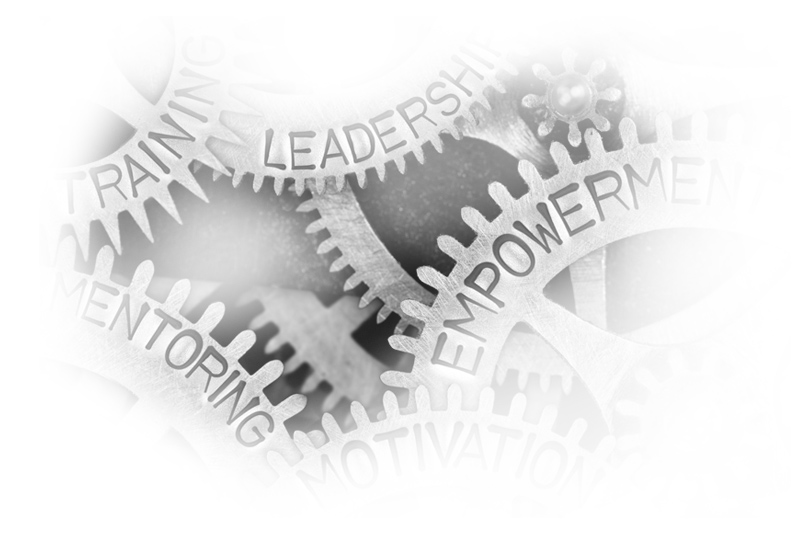 Gears labeled Leadership, Empowerment, Training and Mentoring