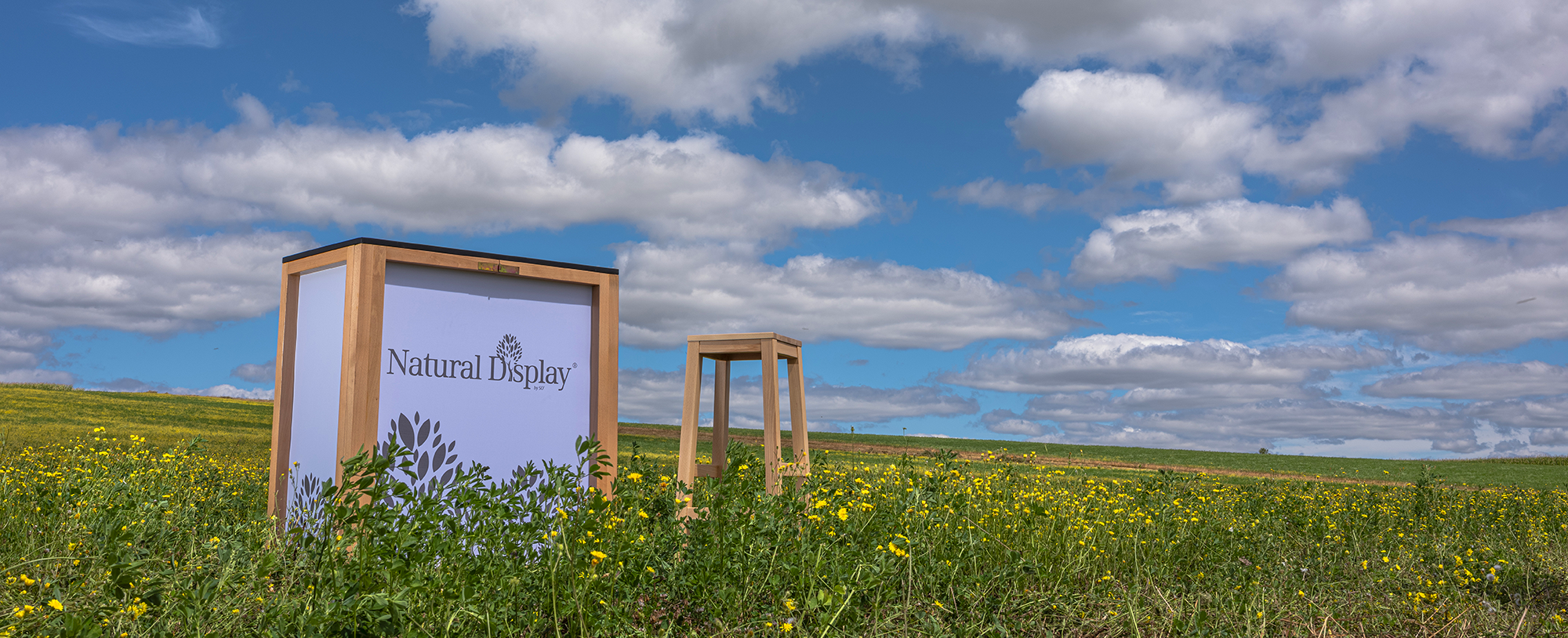 Natural Display wooden counter and bar stool standing in a wildflower field under a big cloudy blue sky