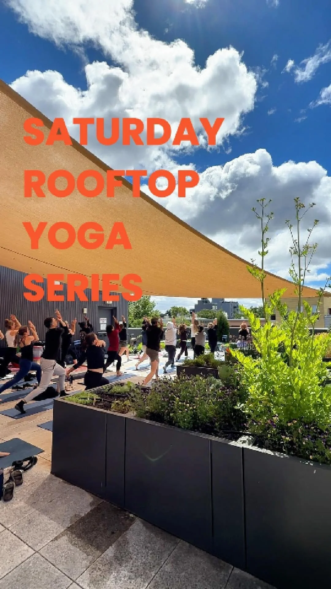 Instagram reel: Saturday Rooftop Yoga Series under a shade sail with NYC skyline