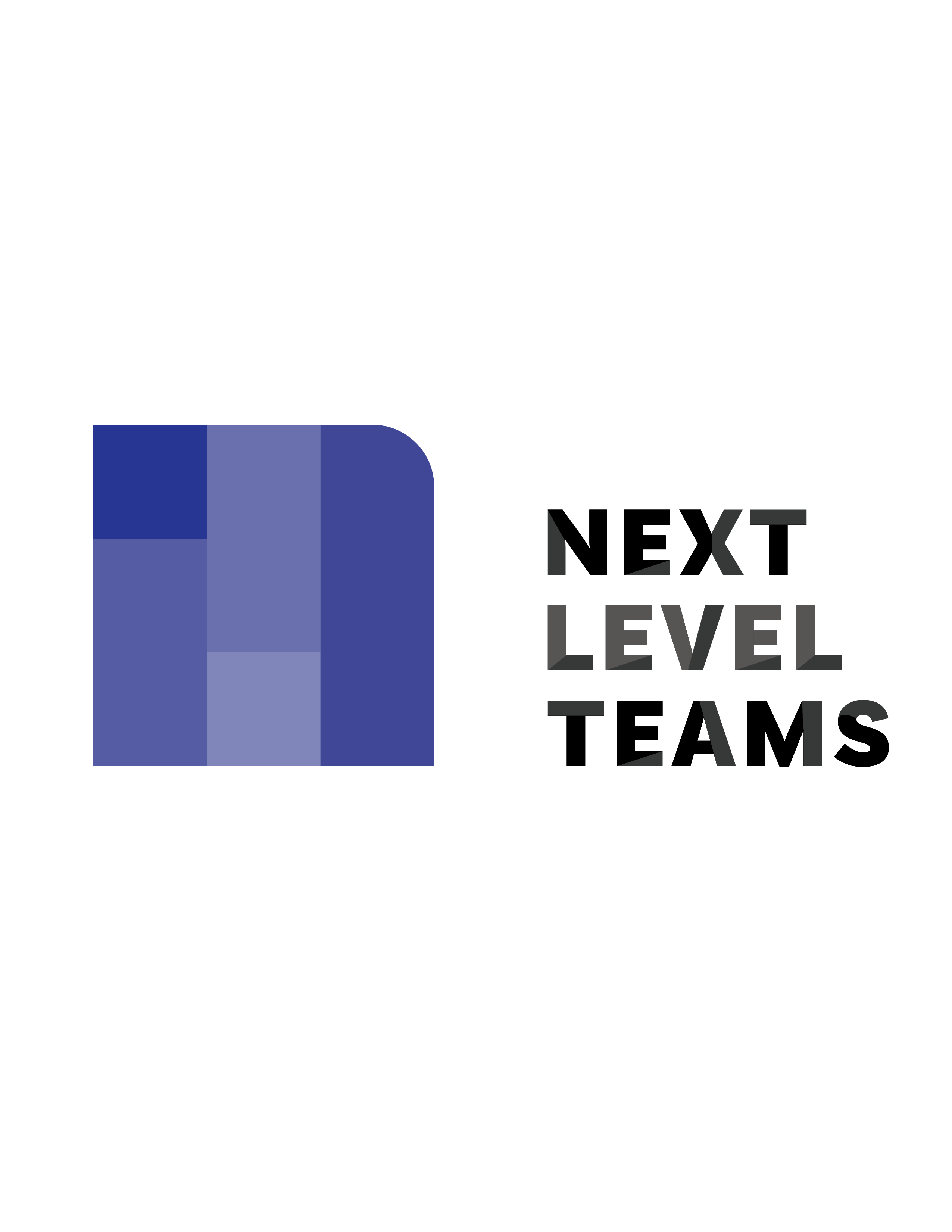 Next Level Teams