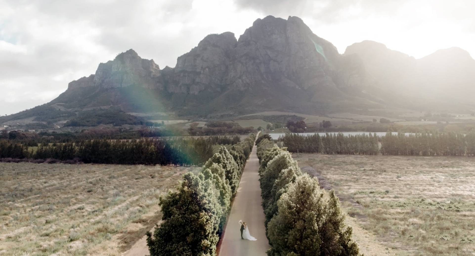 Aerial view of a bride and groom on a long tree-lined avenue with a mountain backdrop in the Cape Winelands