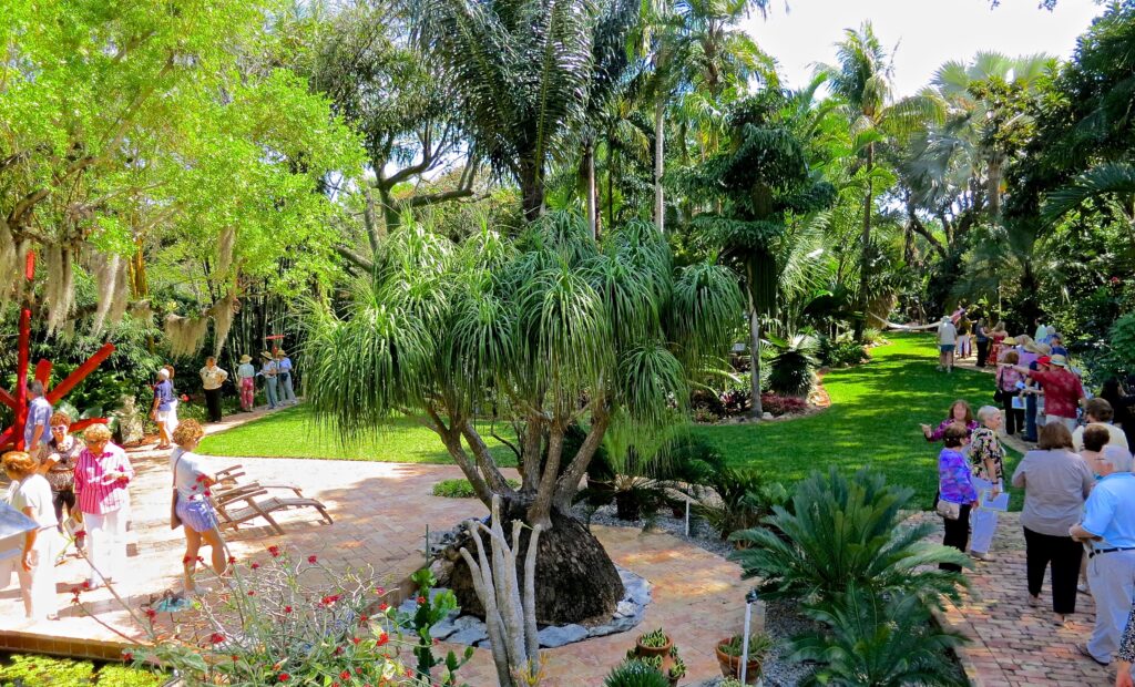 Block Botanical Gardens: a mature ponytail palm specimen on a manicured lawn with visitors walking the garden path