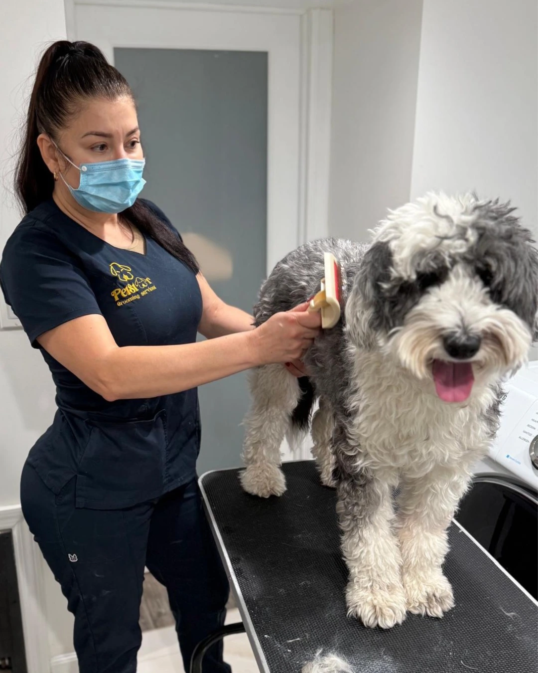 PetStar groomer in a dark uniform brushing a large grey-and-white doodle on the grooming table