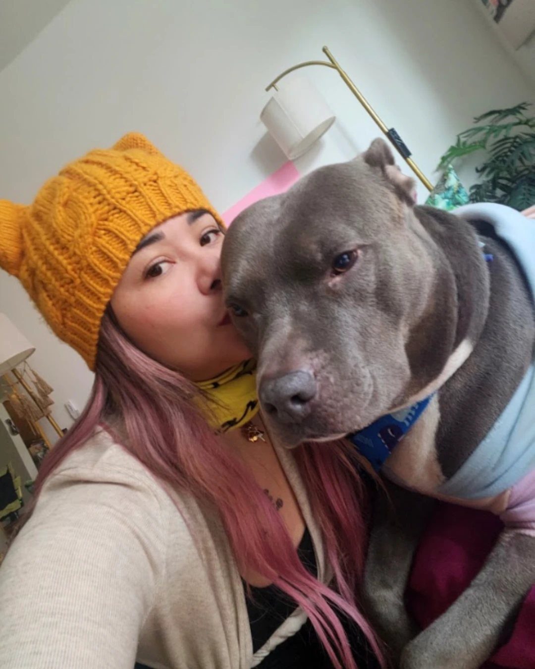Young woman in a yellow knit hat with pink hair kissing her grey Pit Bull