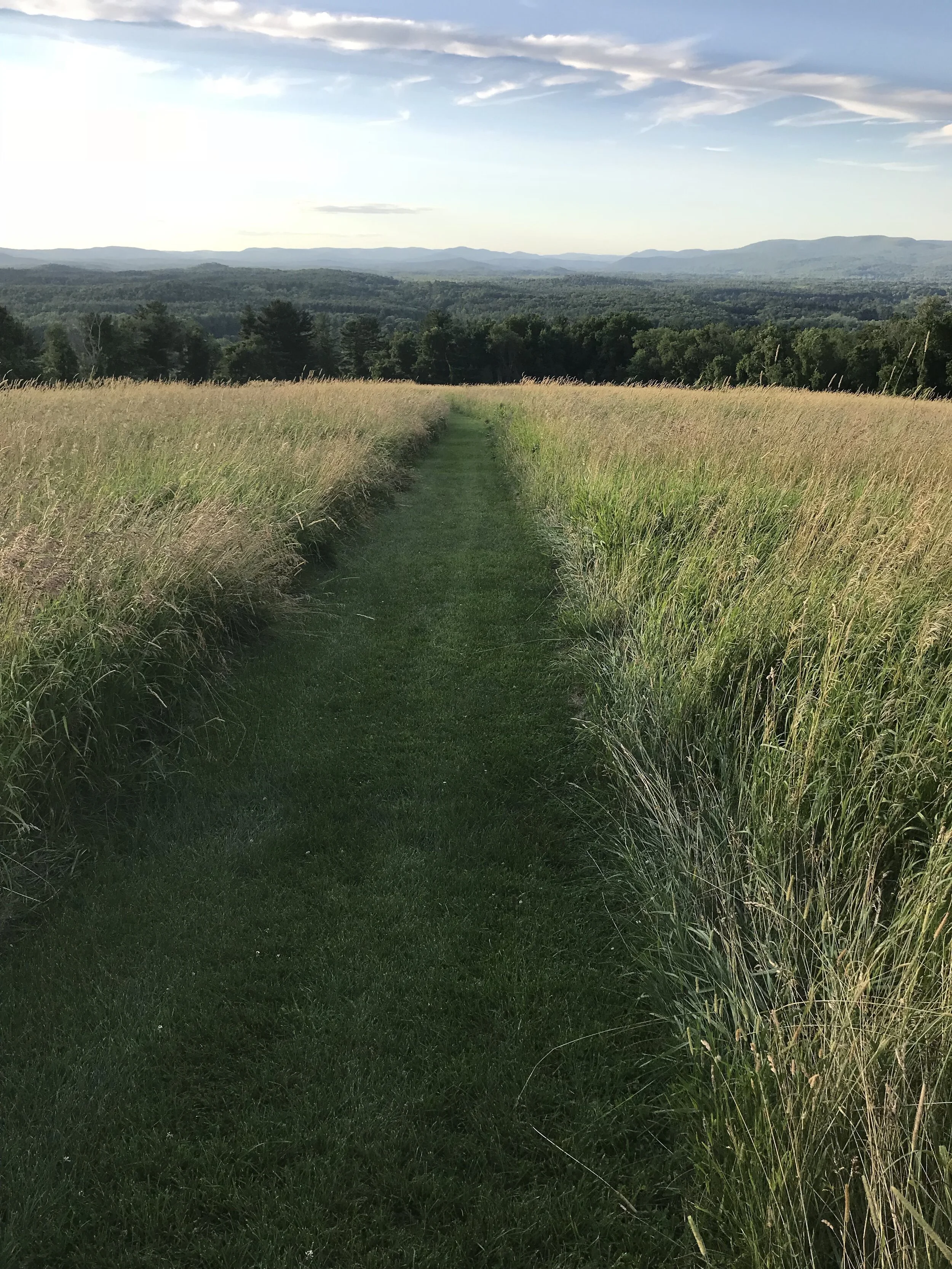 A mowed grass path winding through a golden meadow toward a distant mountain and forest vista in late-afternoon light