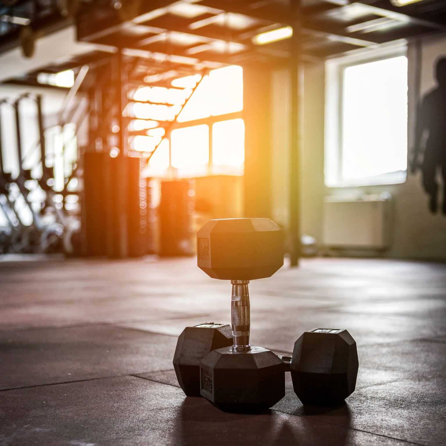 Two dumbbells resting on a gym floor with warm sunlight flaring through the windows behind them