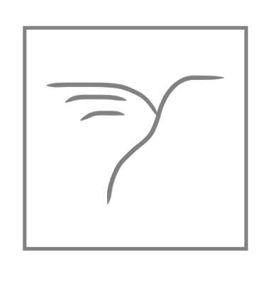 Raven Bonniwell Coaching logo — a line-drawn hummingbird inside a square border