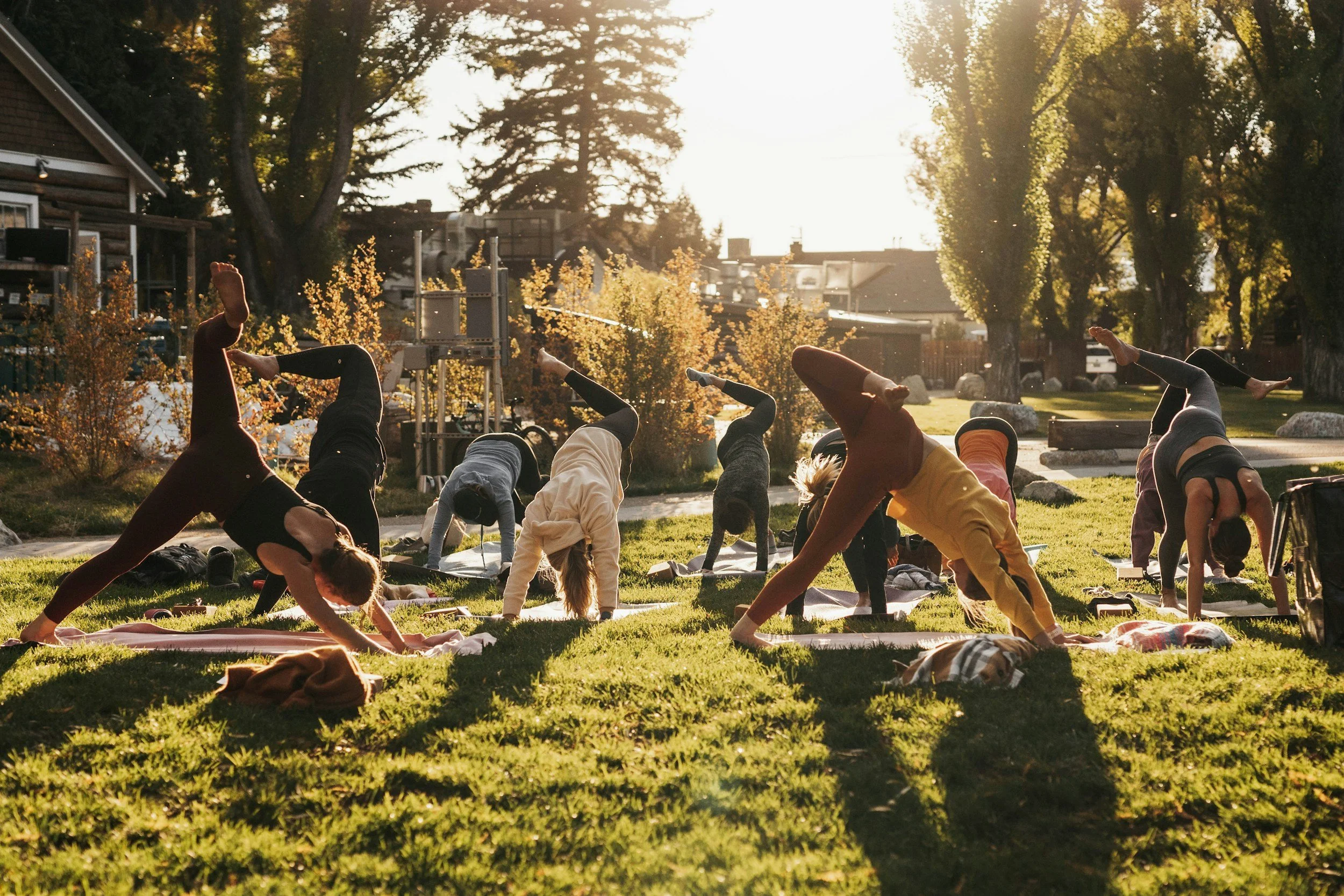 Group outdoor yoga class on grass in warm golden-hour sunlight