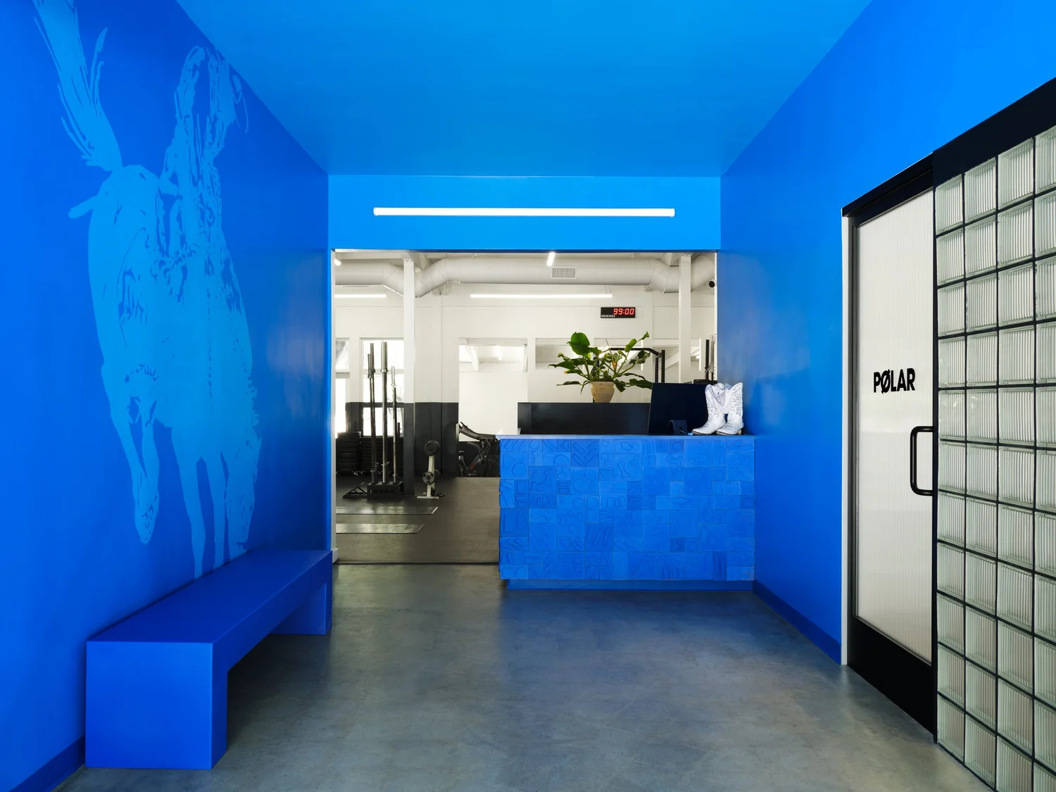 The Rodeo Athletic Club front desk and blue lobby