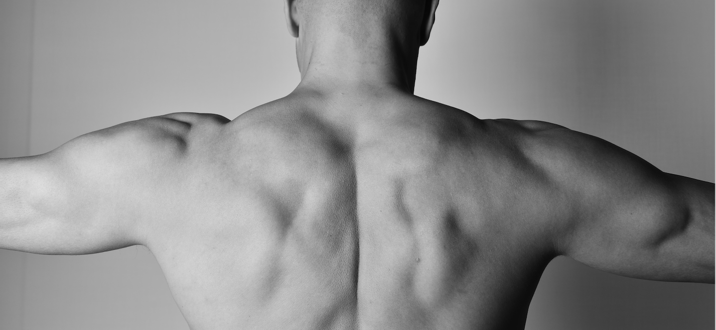 Detail of an athlete's back and shoulders
