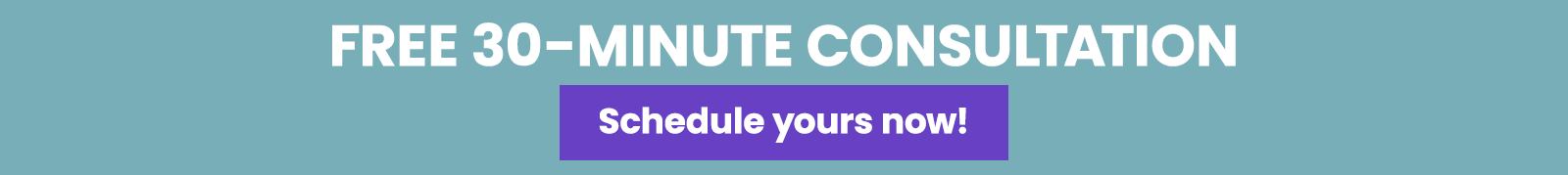 Free 30-minute consultation — schedule yours now