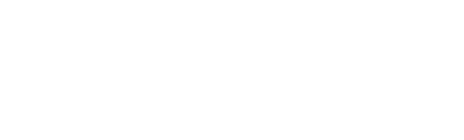 Skylight Coaching & Consulting