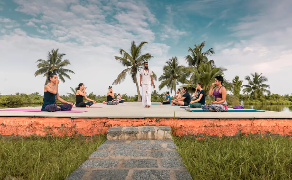 Outdoor yoga class with instructor and students