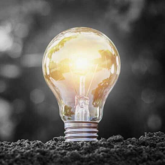 Glowing light bulb resting in soil — a metaphor for growth