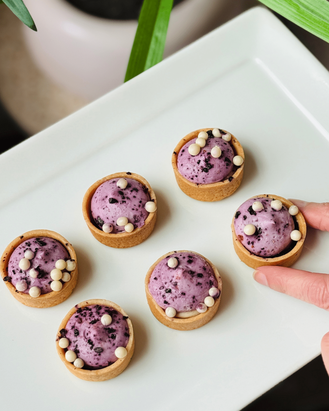 Blueberry cream tartlets with white chocolate pearls