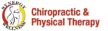 Synergy Wellness Chiropractic & Physical Therapy logo