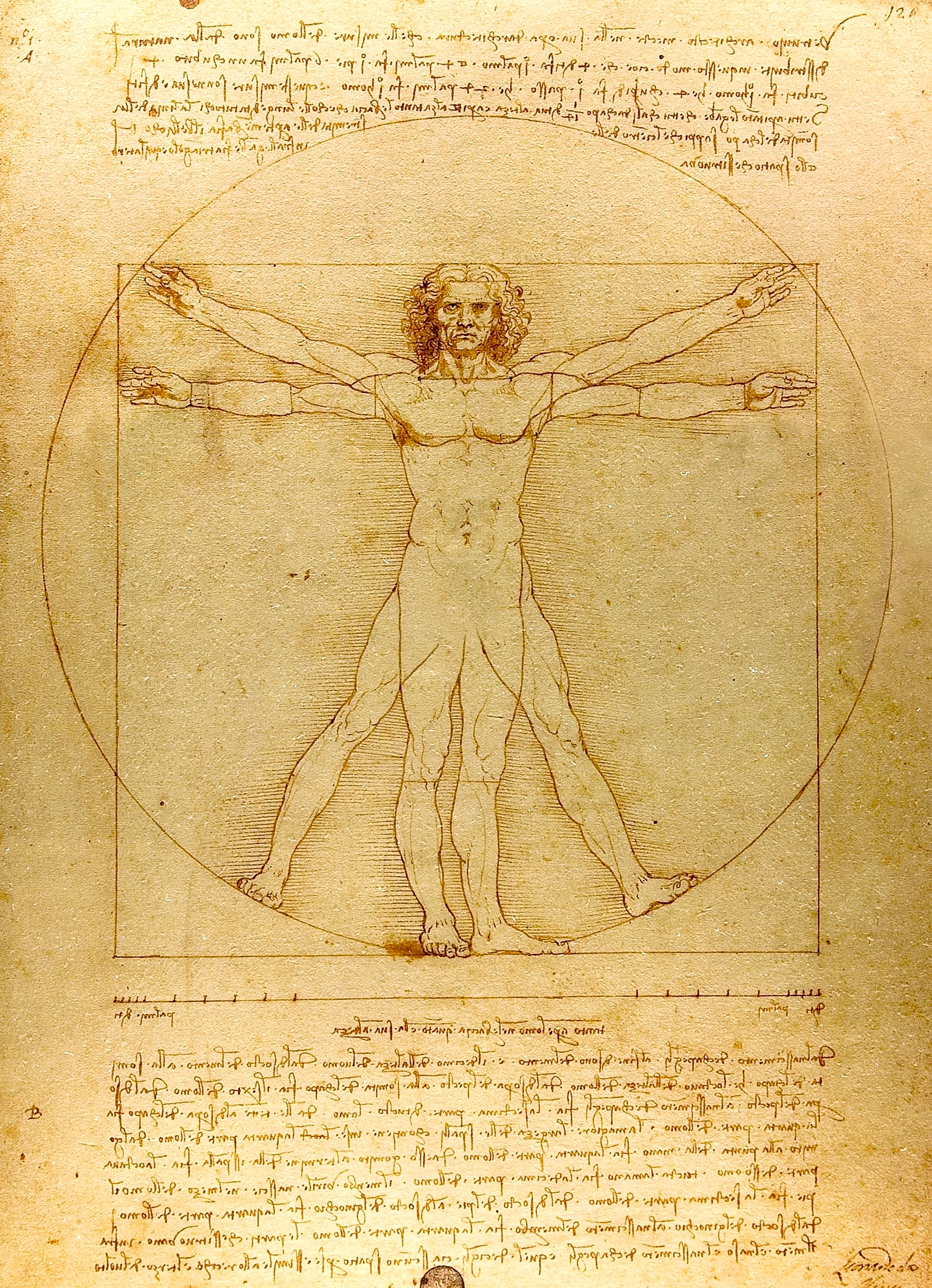 Leonardo da Vinci's Vitruvian Man drawing on aged parchment