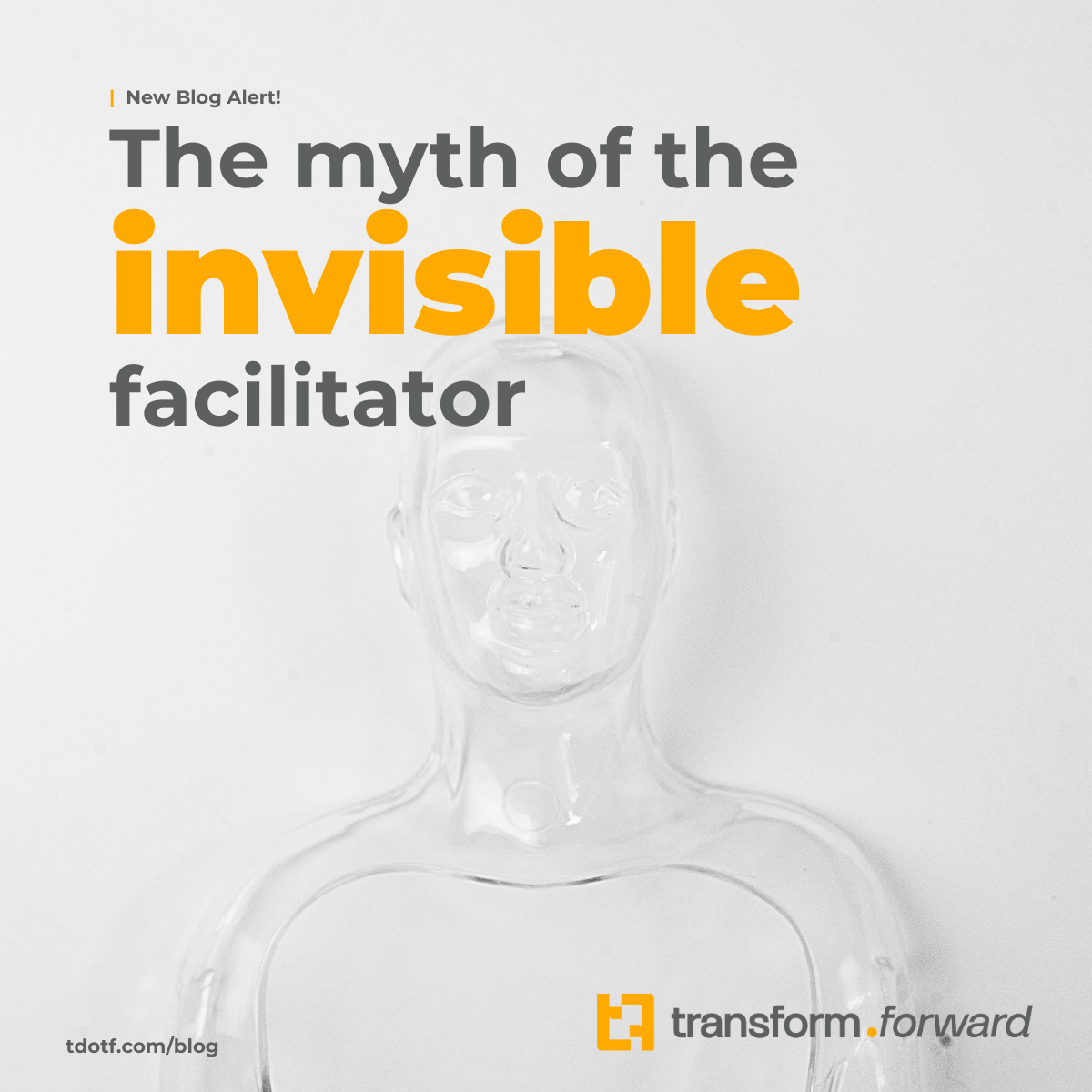Blog cover: The Myth of the Invisible Facilitator