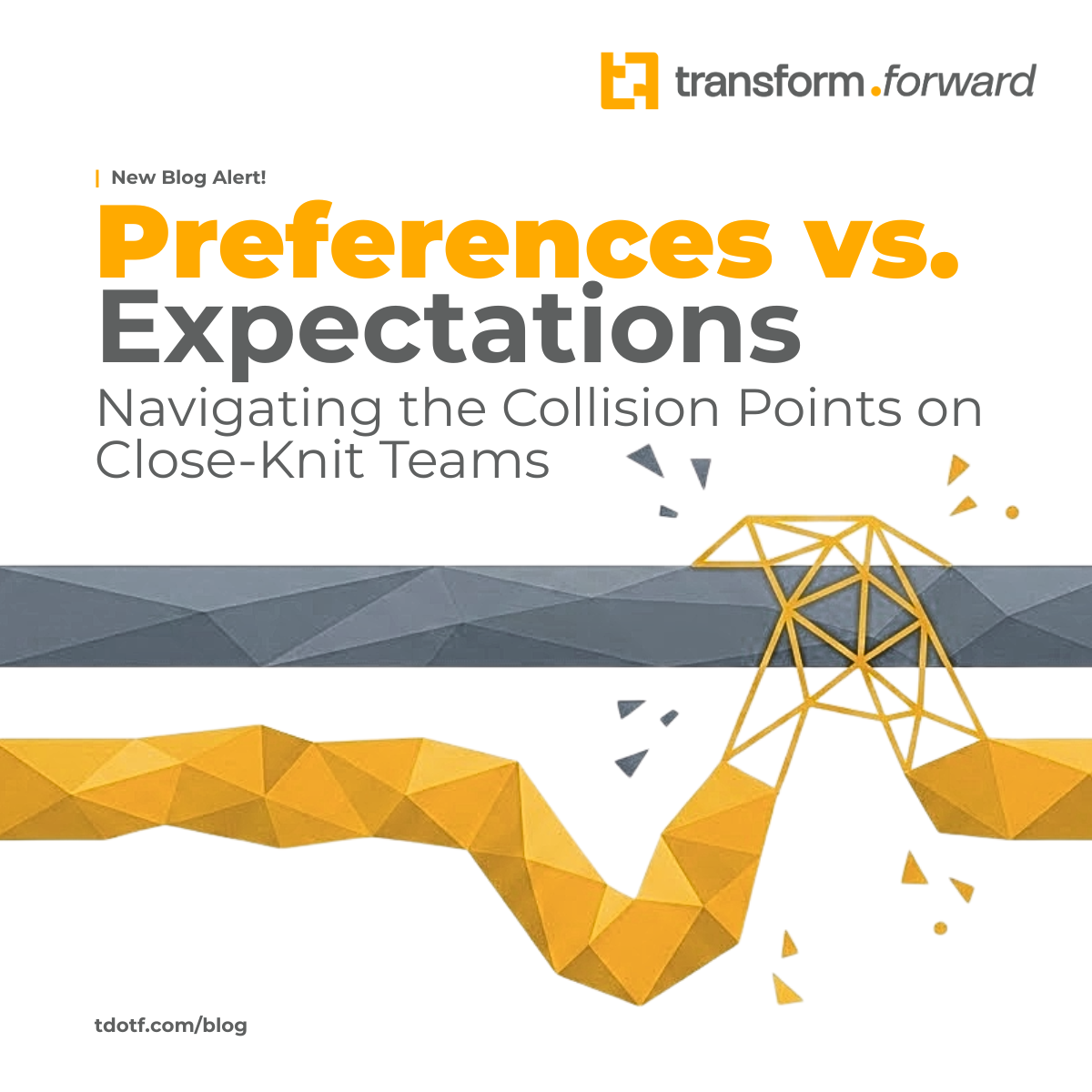 Blog cover: Preferences vs. Expectations