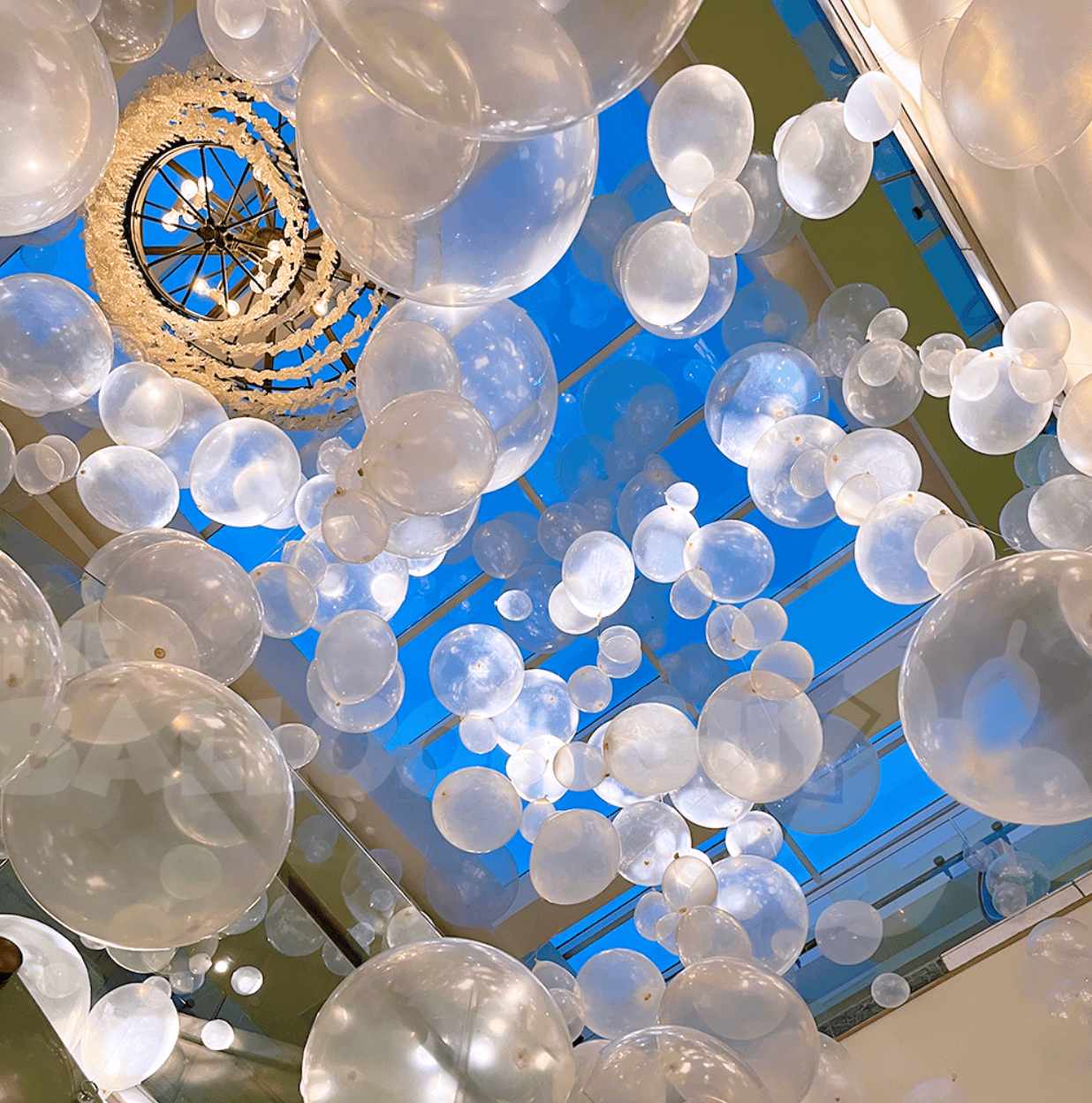 Upward view of clear and white bubble balloons filling a glass skylight ceiling