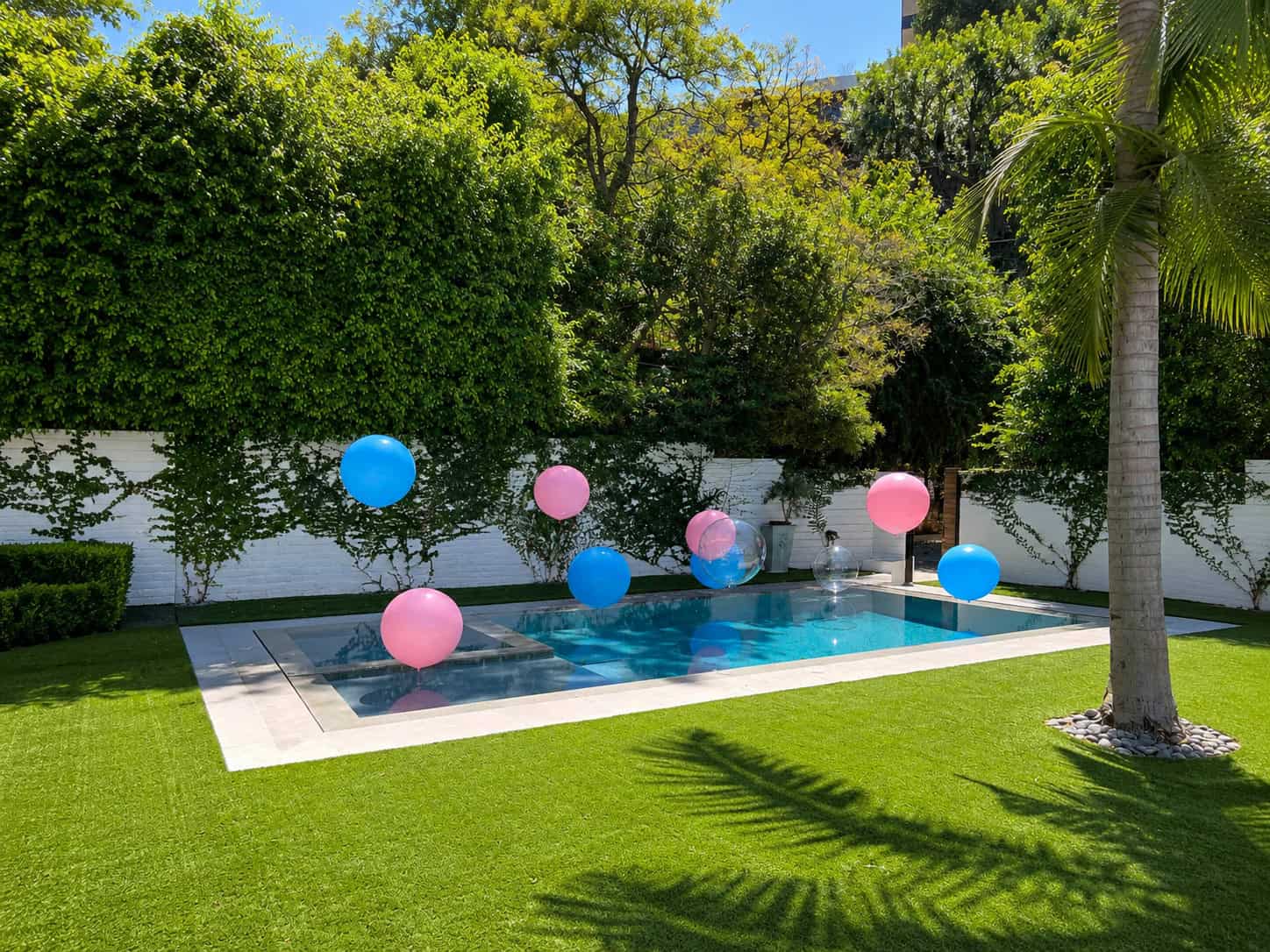 Backyard pool with giant pink and blue balloon spheres for a gender reveal