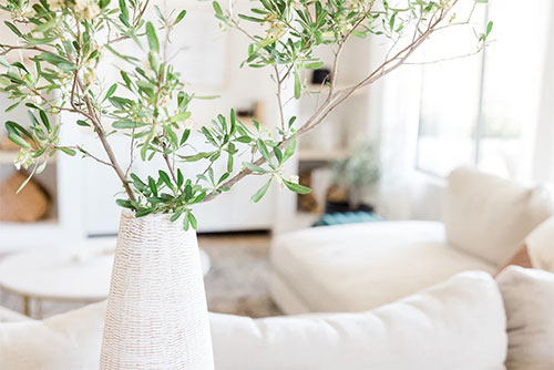 A white vase with olive branches in the bright, airy lounge at The Rest Spot