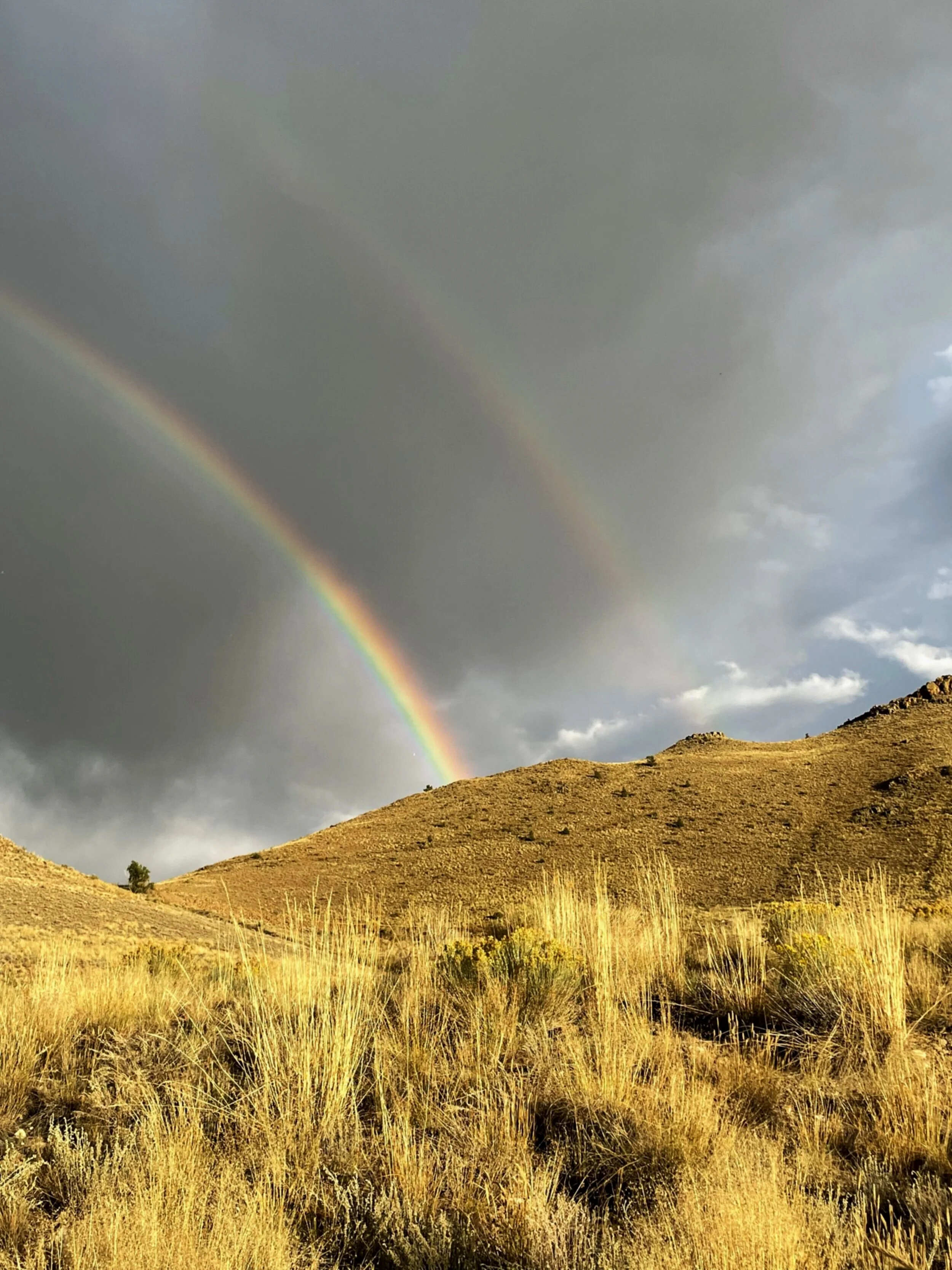 Golden desert hillside under a stormy sky with a faint rainbow