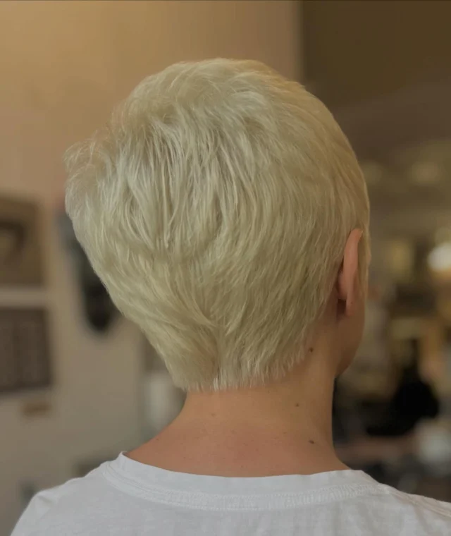 Back view of a client with a short platinum blonde pixie cut