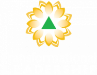 Transformational Leadership