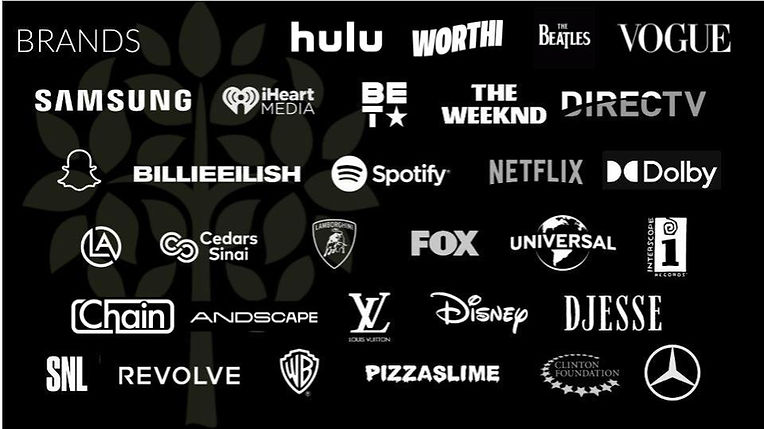 Brands Two Tree Events has worked with, including Hulu, Vogue, Samsung, Netflix, Disney, Louis Vuitton, Billie Eilish, The Weeknd, Spotify, DIRECTV, Universal, Interscope, SNL, Revolve, and Mercedes-Benz.