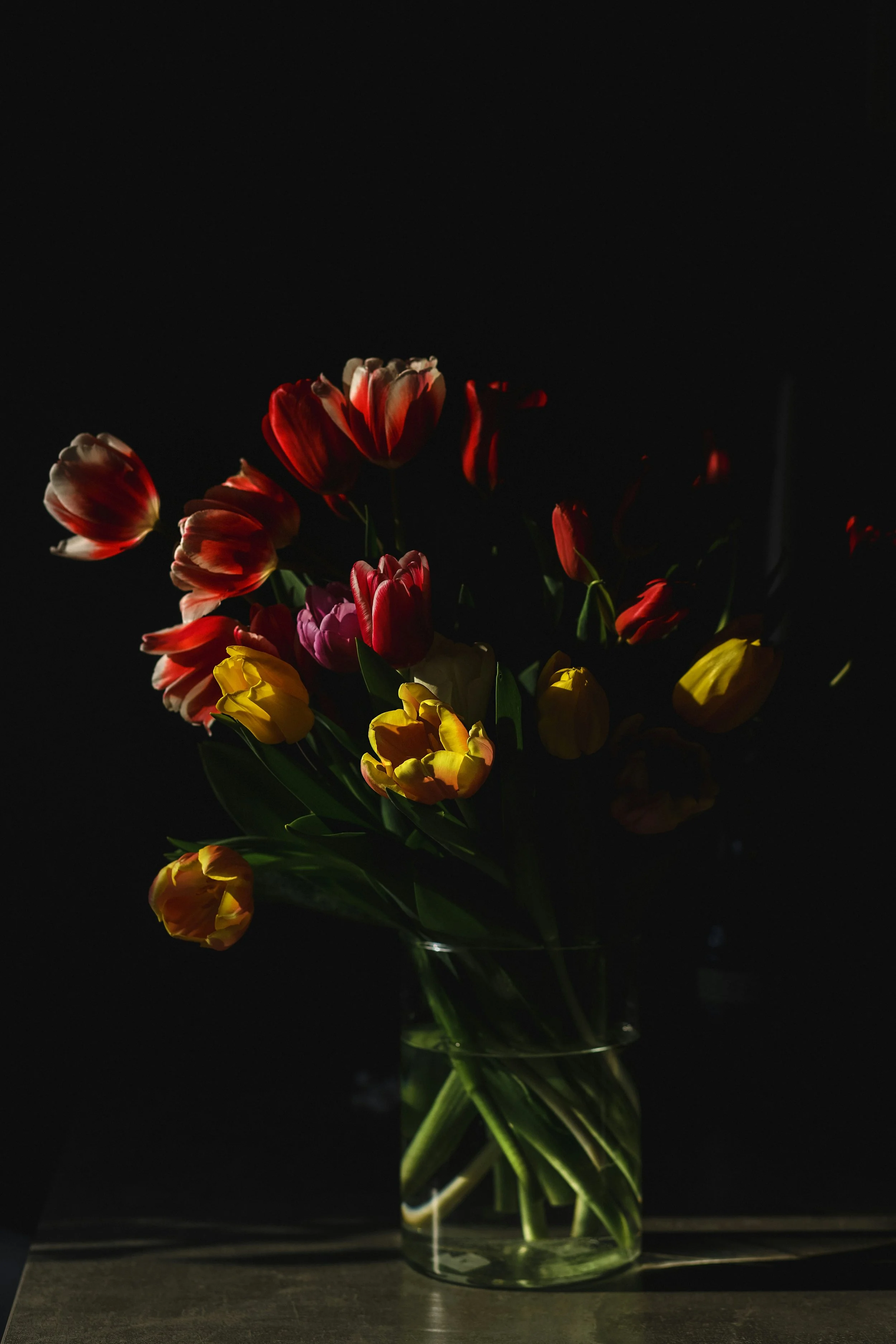 Dramatic dark bouquet of red, yellow and purple tulips against a near-black background