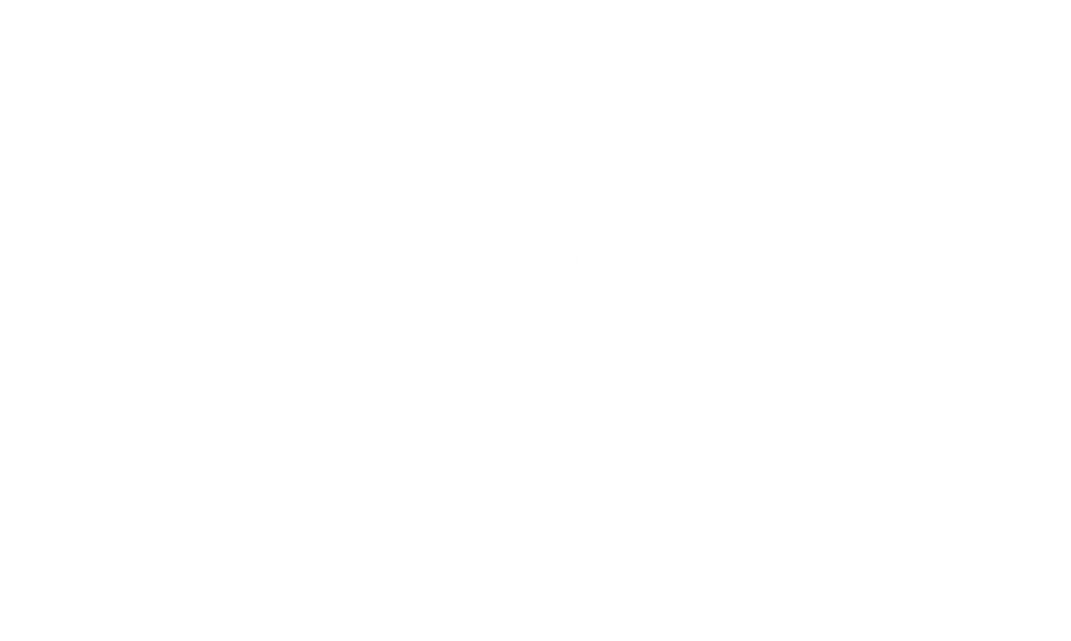 Wells Fargo wordmark
