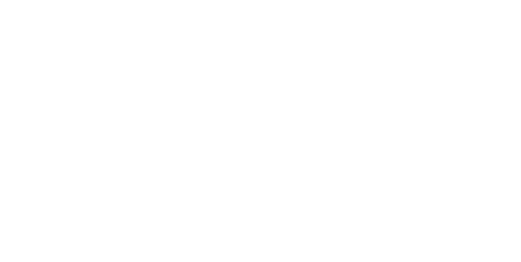 Voice Matters