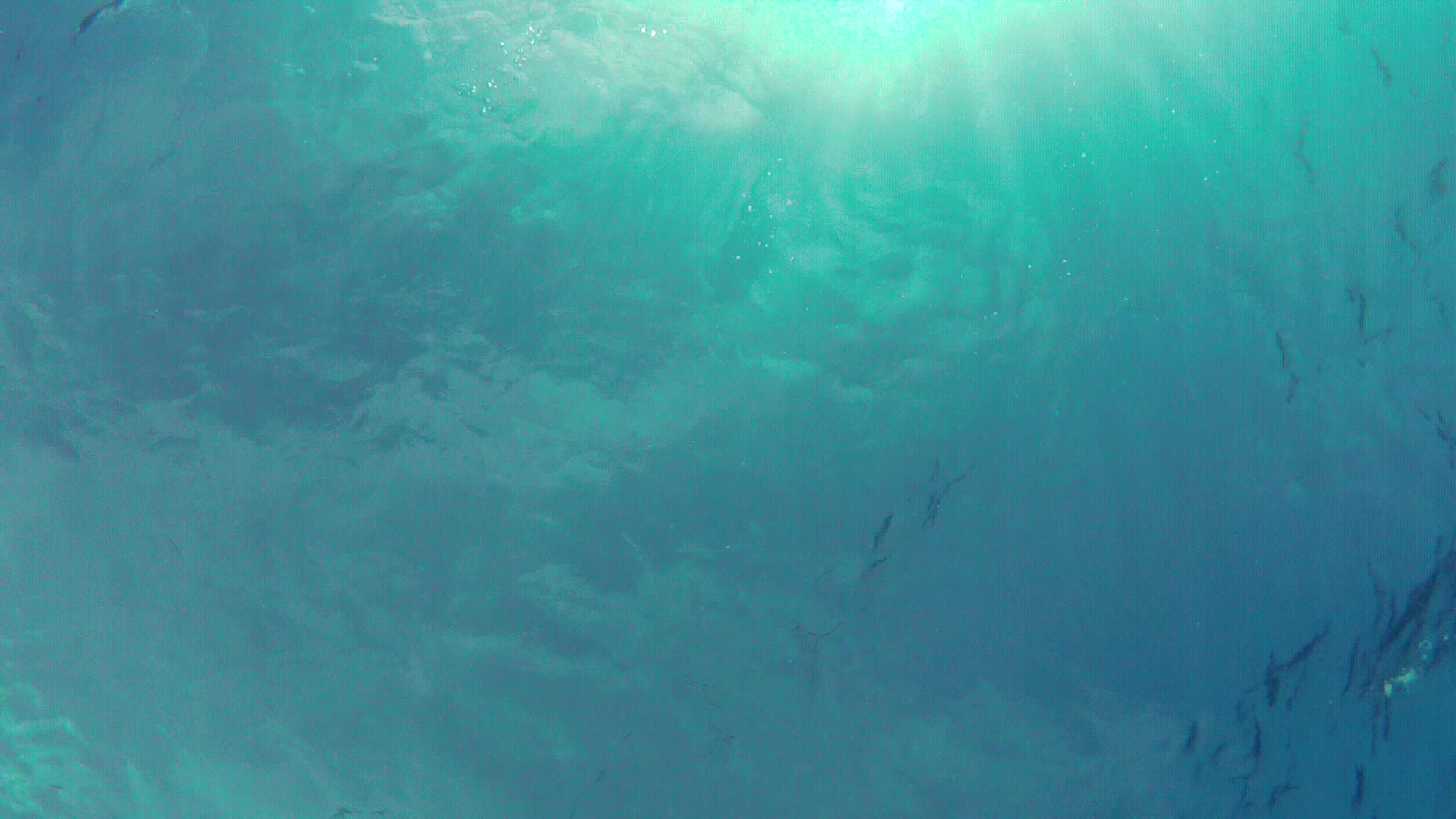 Underwater ocean scene with teal-blue light filtering through the surface