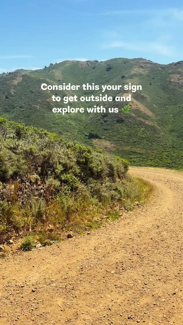 Dirt hiking trail — get outside and explore with us