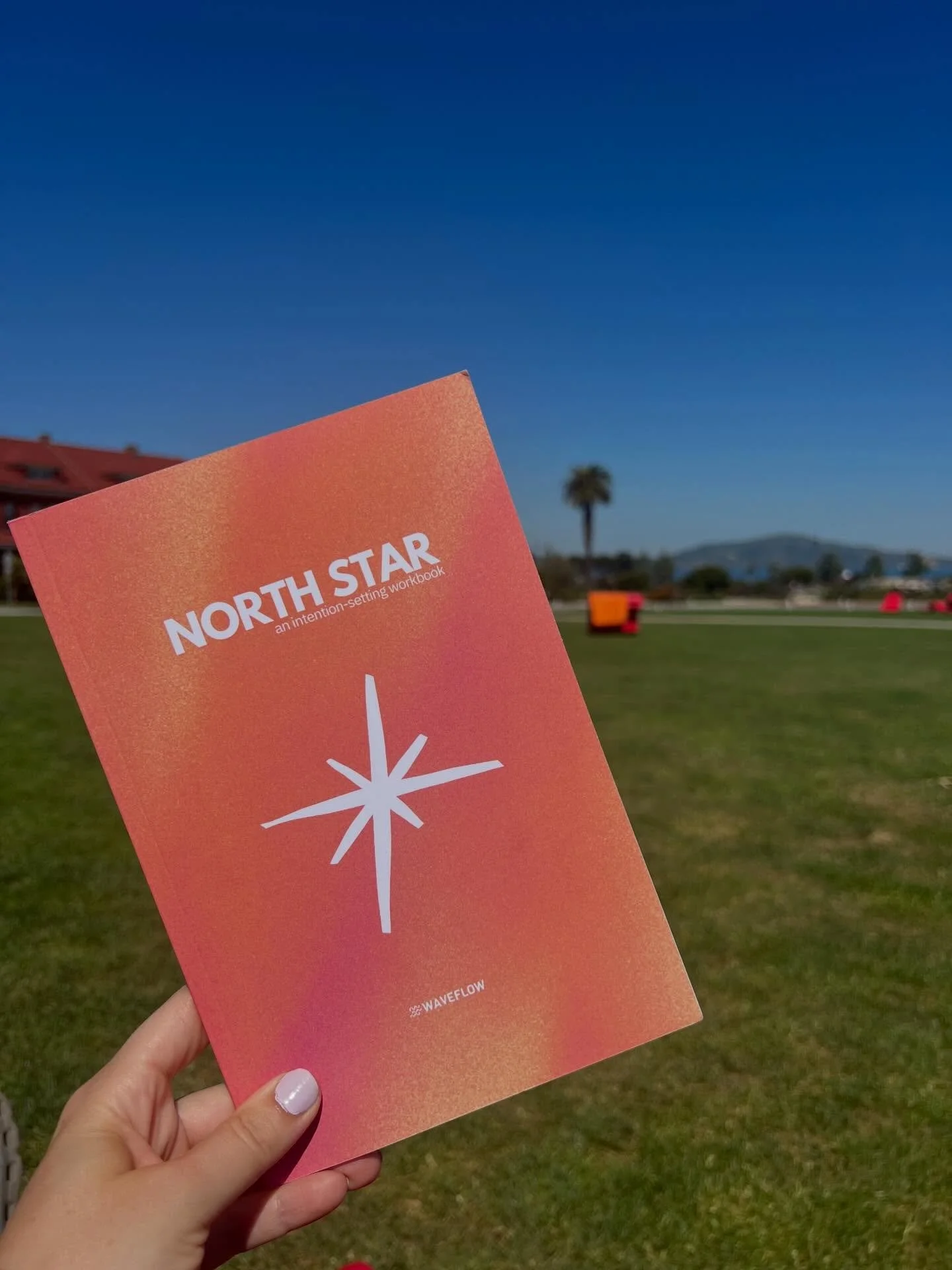 Hand holding the North Star workbook outdoors on a sunny field
