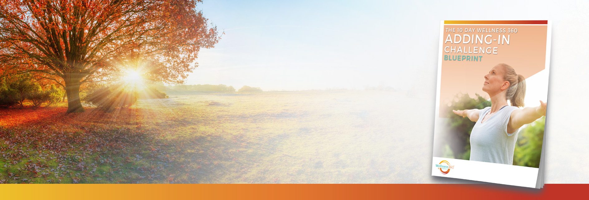Autumn sunrise bursting through an orange-leafed tree over a misty field