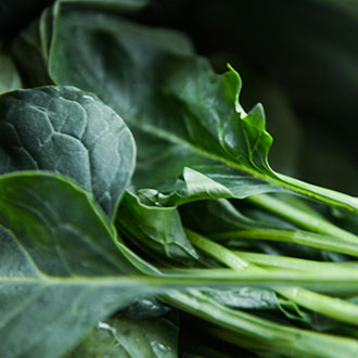 Close-up of fresh dark green spinach leaves.