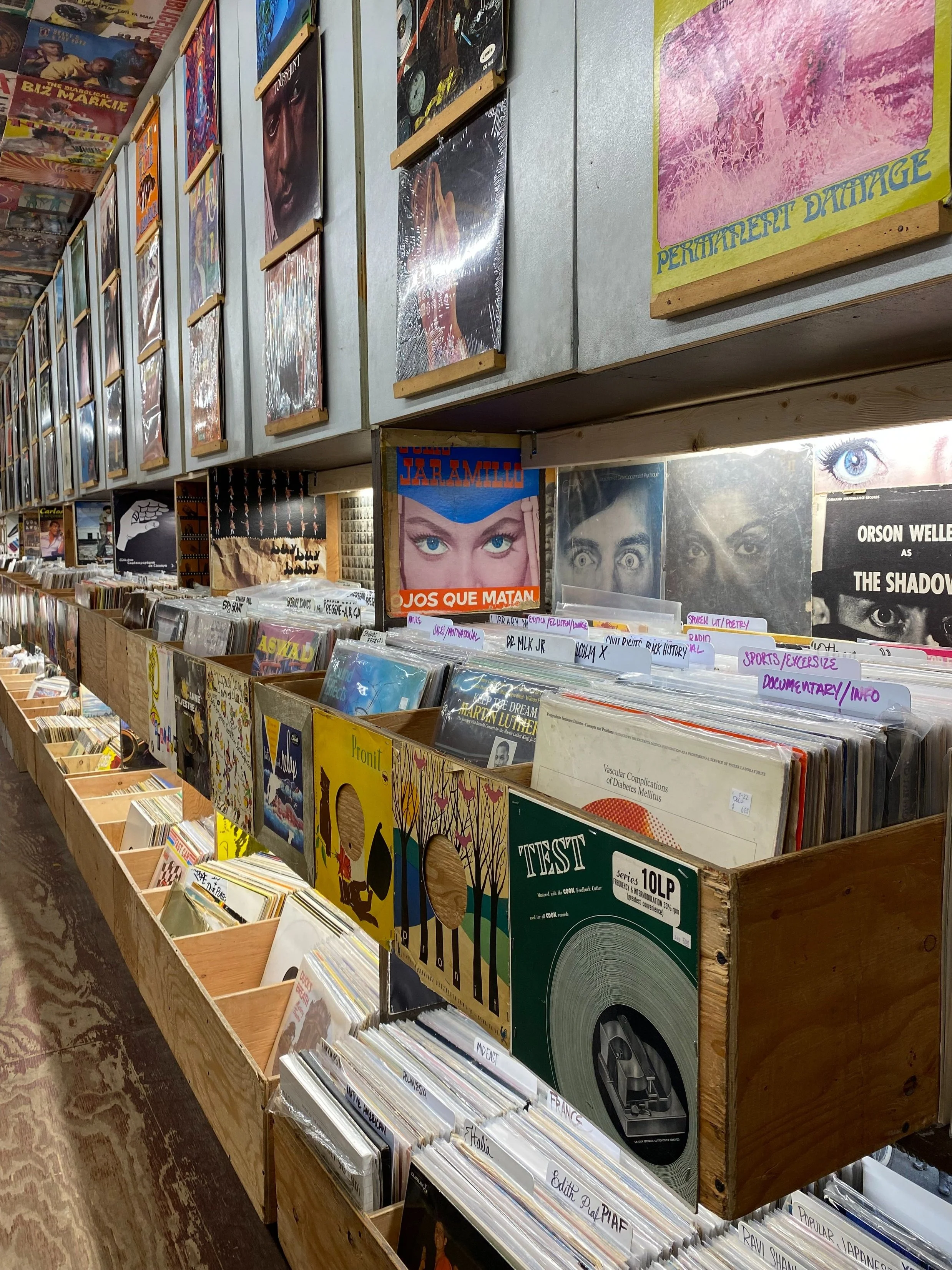 Interior of A-1 Record Shop: a long wall of vinyl sorted in wooden bins with album covers displayed above