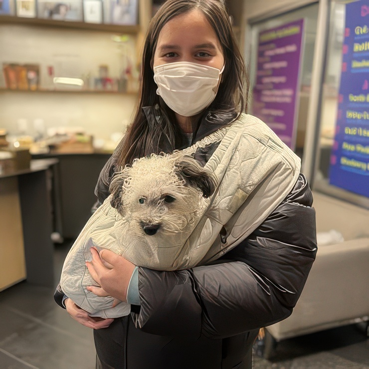 Customer carrying a small white fluffy dog in a sling bag