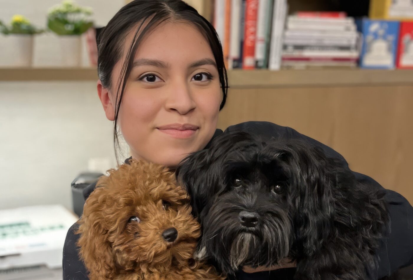 DOGMA team member holding a mini poodle and a black shaggy dog