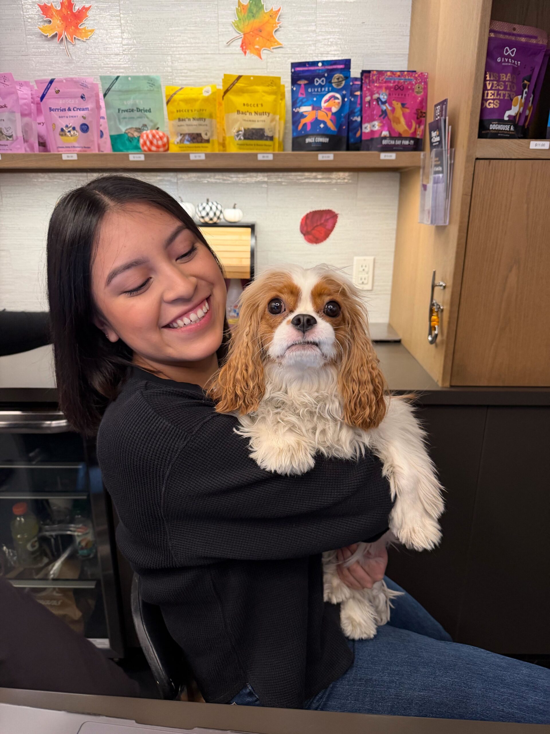DOGMA staff member holding a Cavalier King Charles Spaniel at the front desk