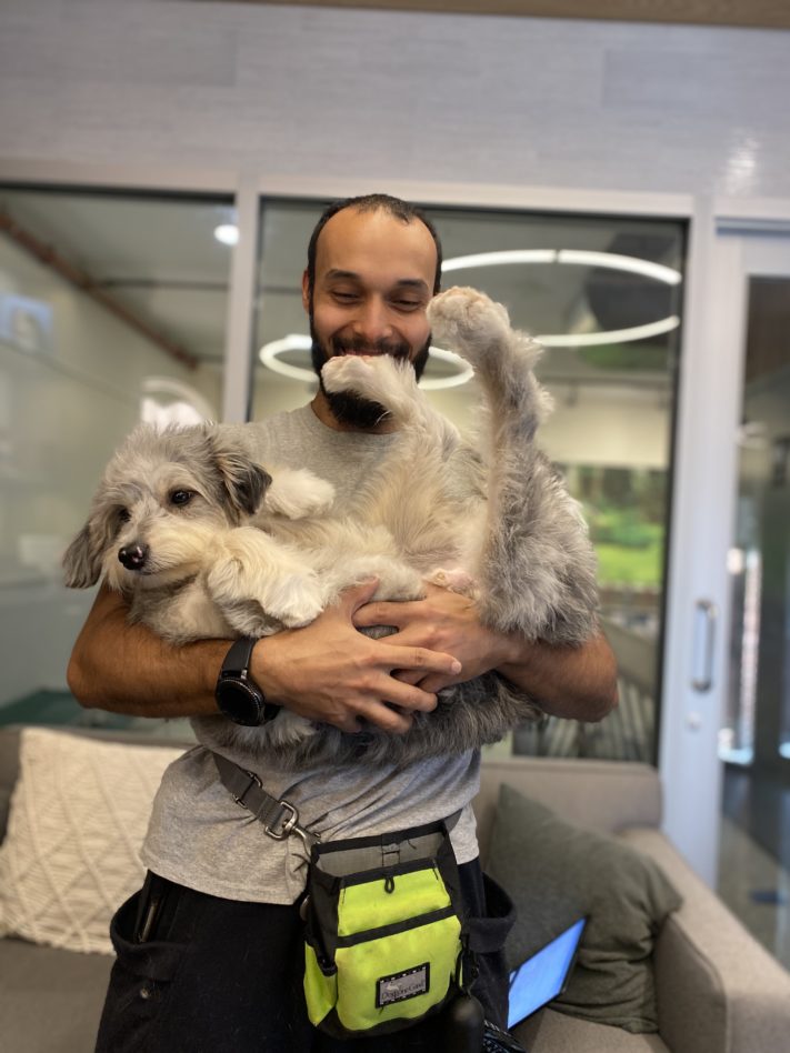 A DOGMA staff member laughing while holding a small grey and white dog in reception