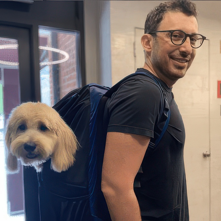 Man with glasses carrying a cream doodle in a backpack carrier