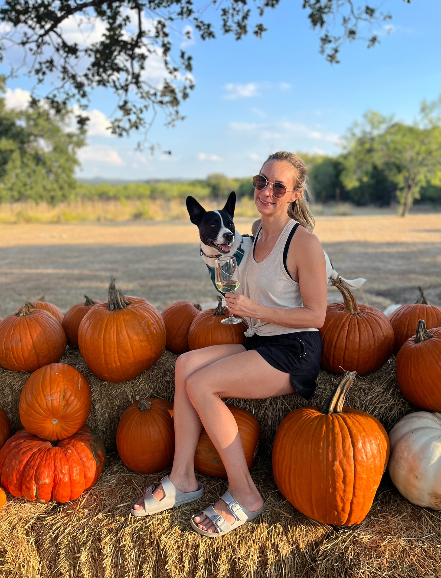 Blonde woman on hay bales with pumpkins, wine glass and a dog
