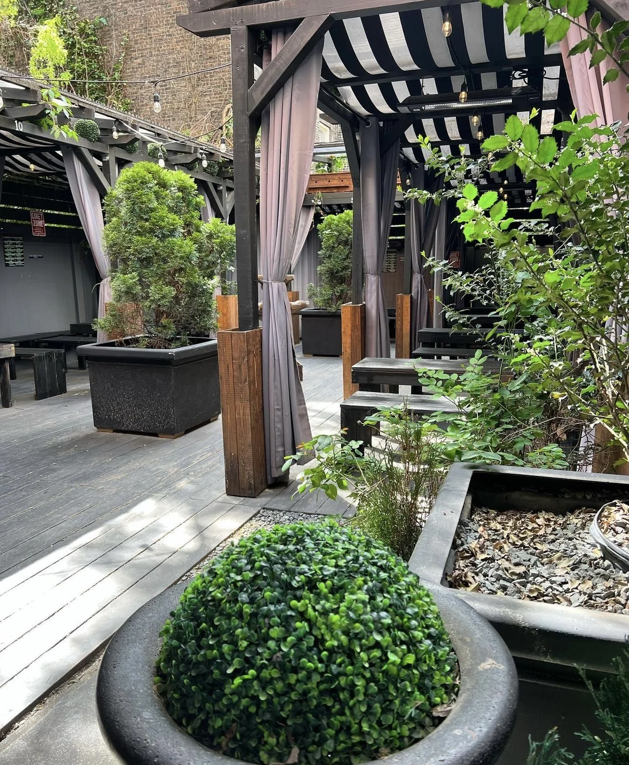 Garden patio with a pergola, curtains and potted topiaries on a wooden deck